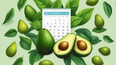 What Happens to Your Body When You Eat an Avocado a Day for 30 Days?